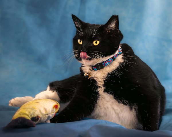 Come stiamo proteggendo la nostra privacy nell'era digitale?